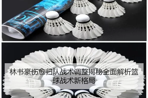 林书豪伤愈归队战术调整揭秘全面解析篮球战术新格局
